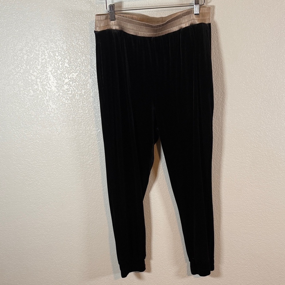Zara Black Champagne Waistband Velvet Jogger Size XL Holiday Whimsigoth